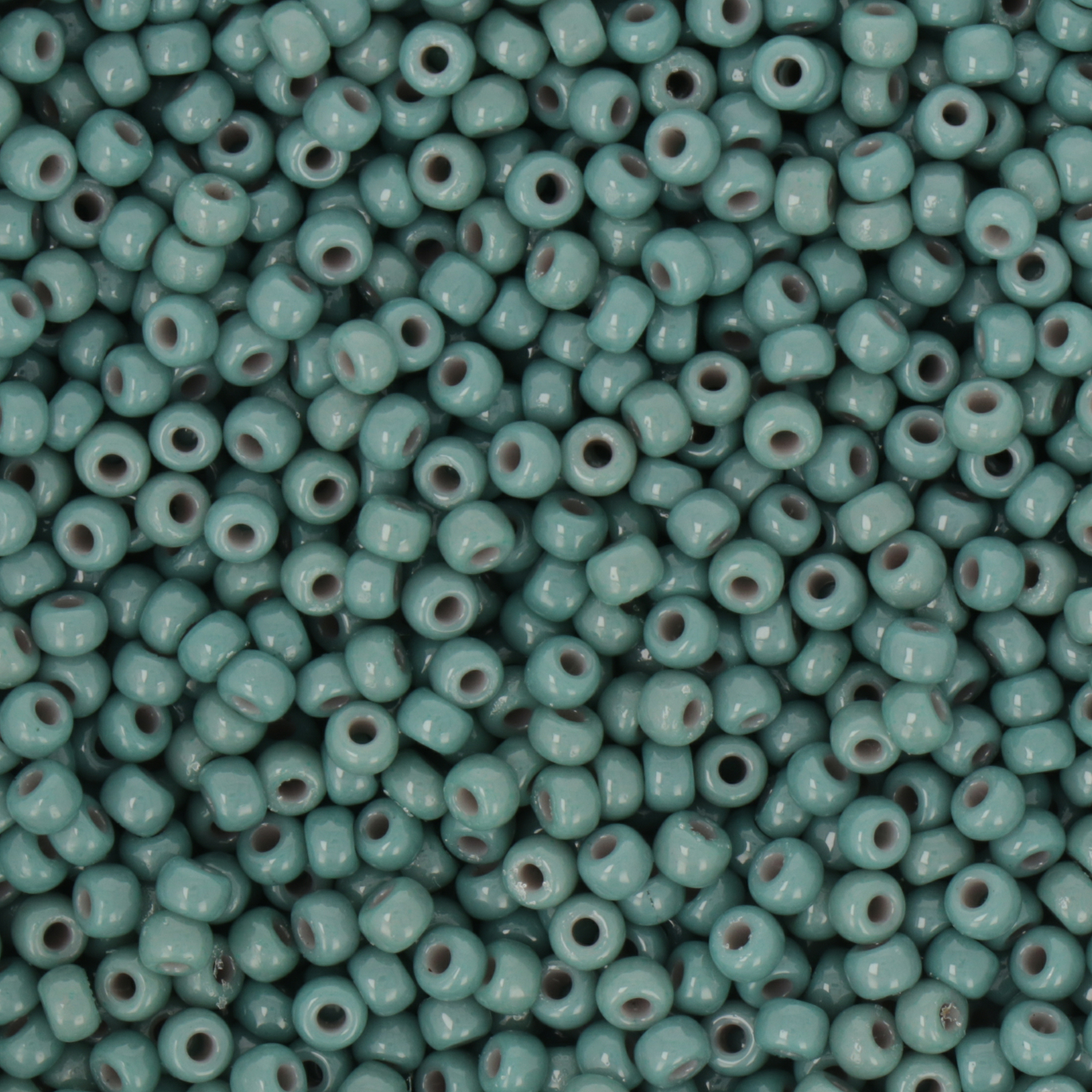 miyuki rocailles 8/0 - duracoat opaque eucalyptus (4481) | 10gr