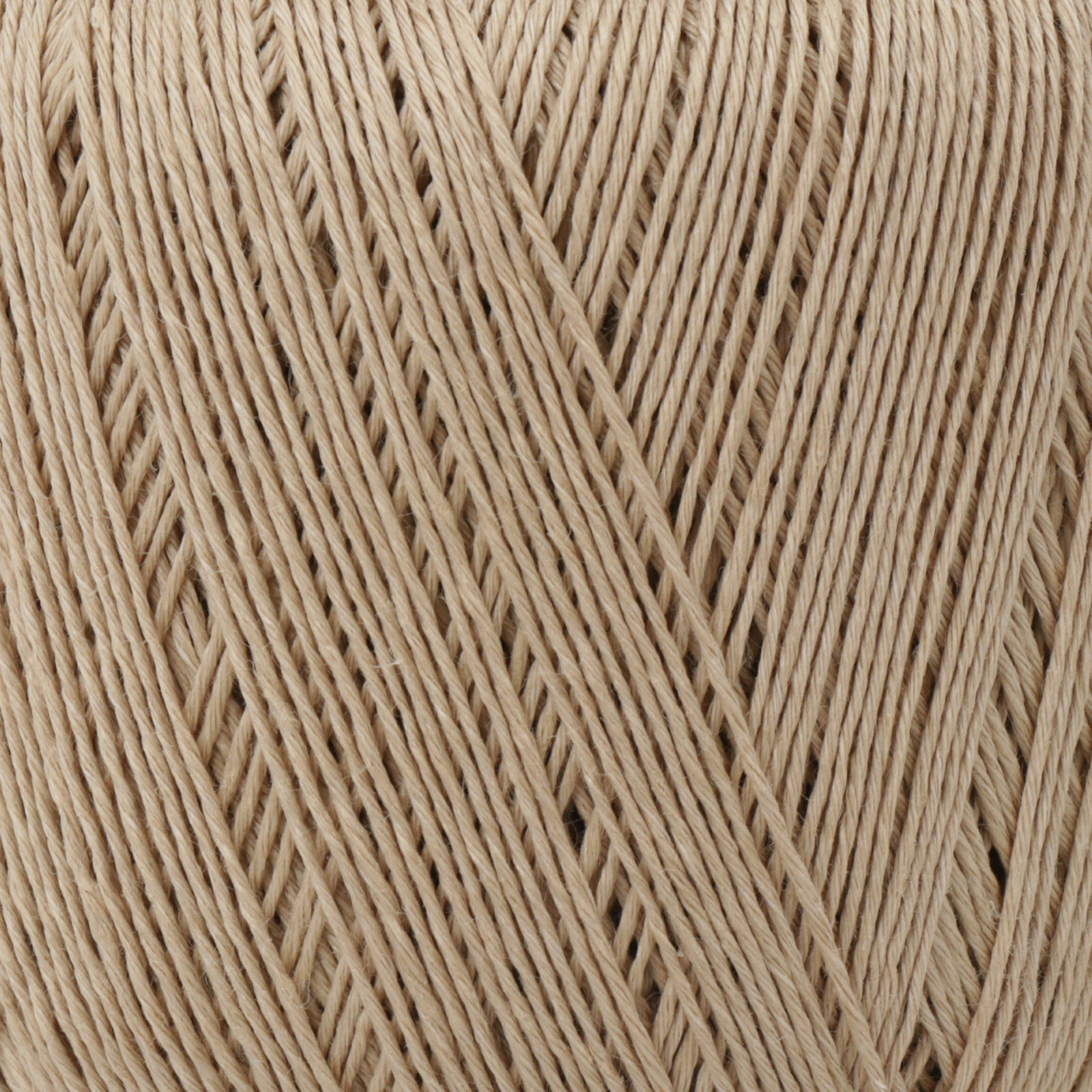 lana gatto fresh - beige (08899) - 50gr (163mt) | 1pc