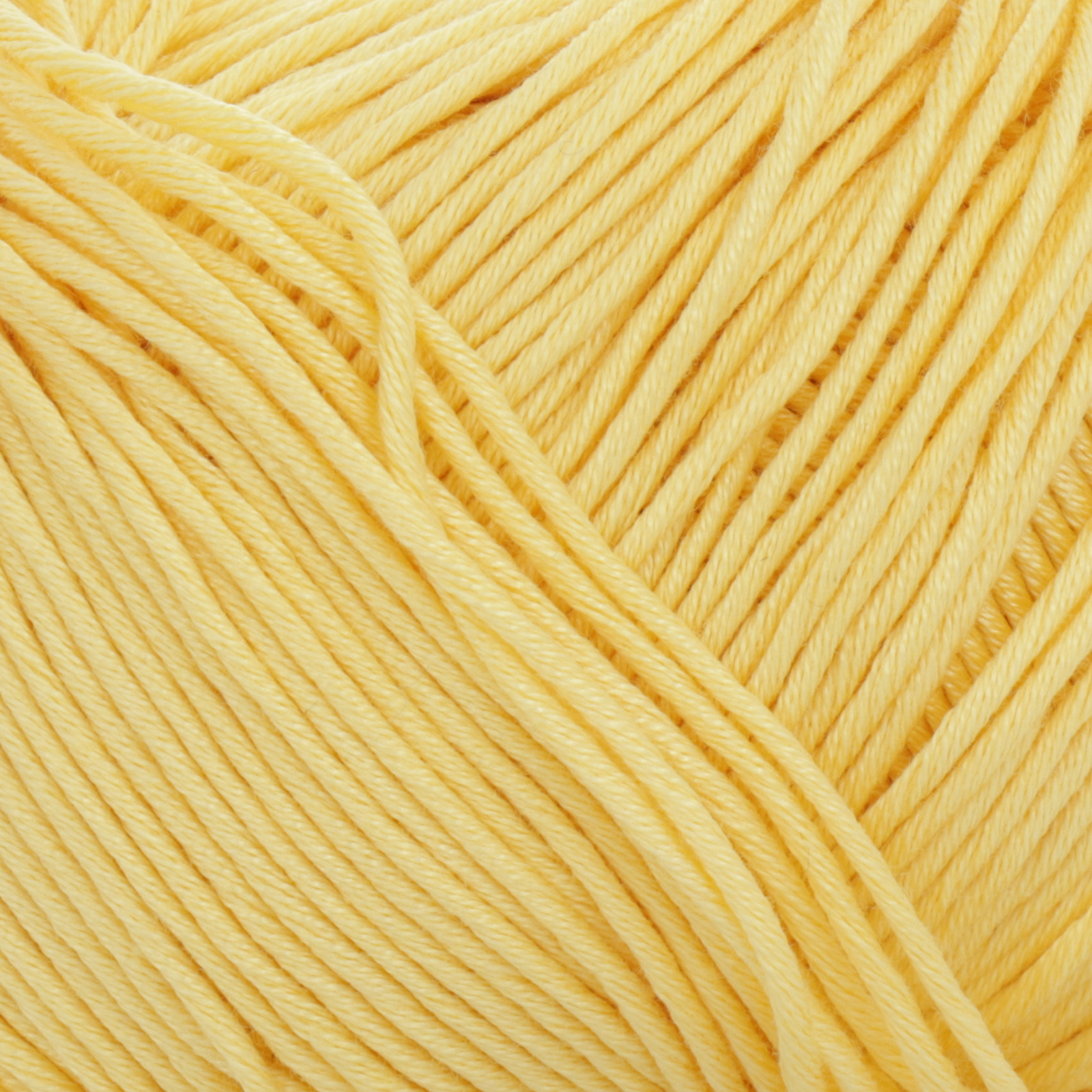 lana gatto nuovo jaipur - sun yellow (06567) - 50gr (100mt) | 1pc