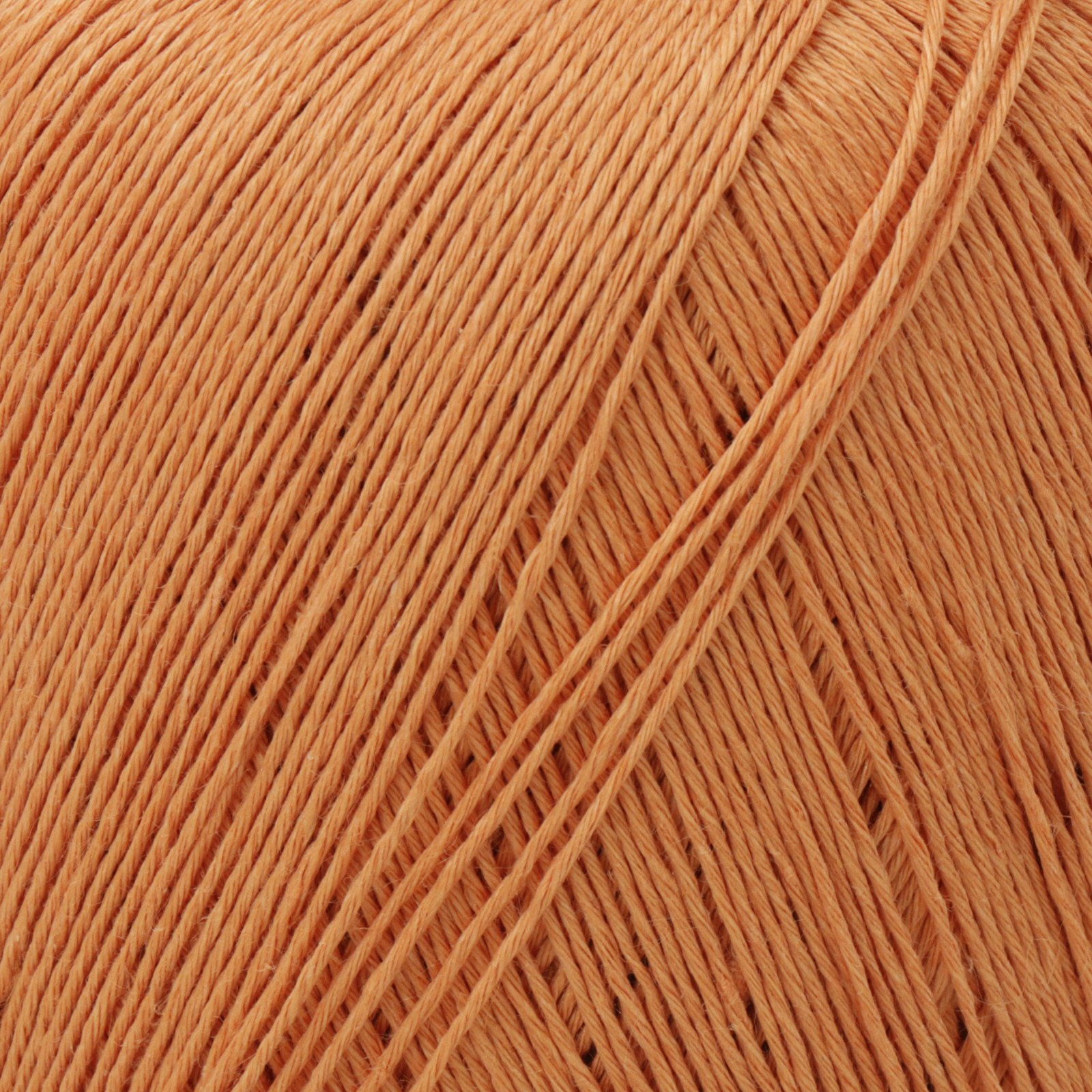 lana gatto fresh - ochre (08713) - 50gr (163mt) | 1pc