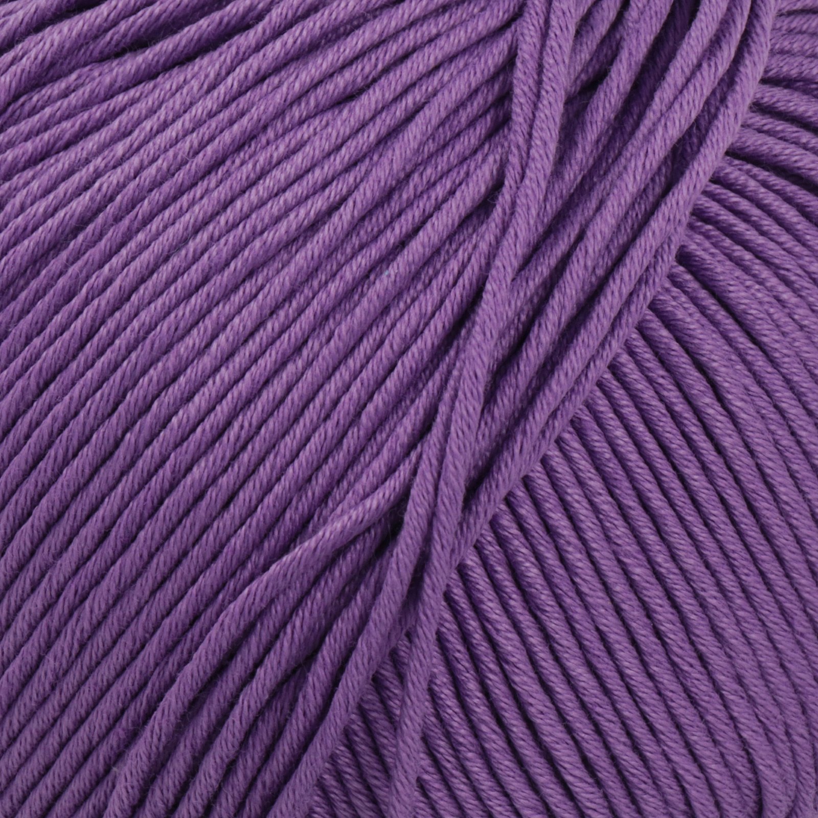 lana gatto nuovo jaipur - lavender (06591) - 50gr (100mt) | 1pc
