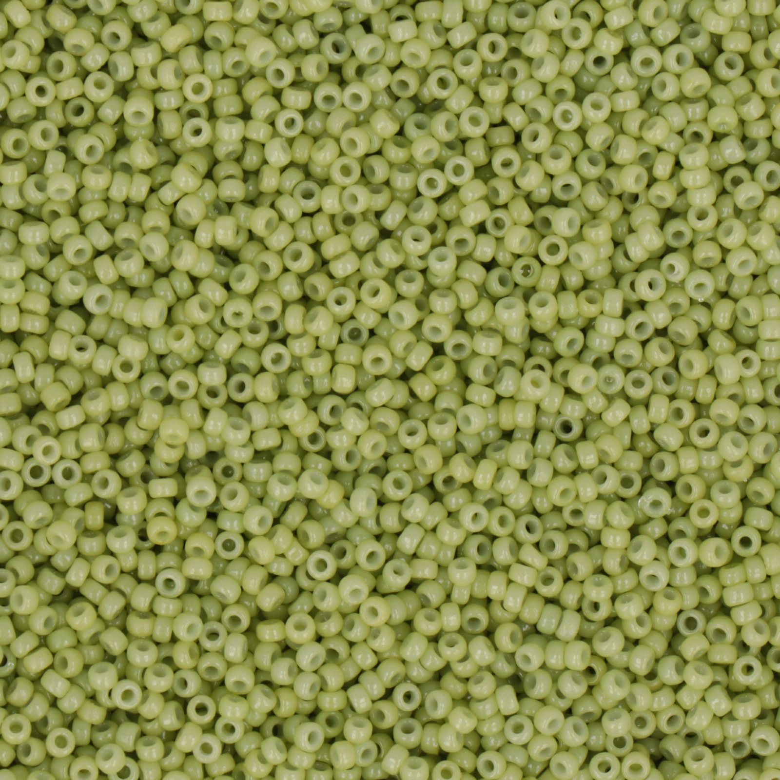 miyuki rocailles 15/0 - duracoat opaque fennel (4473) | 10gr