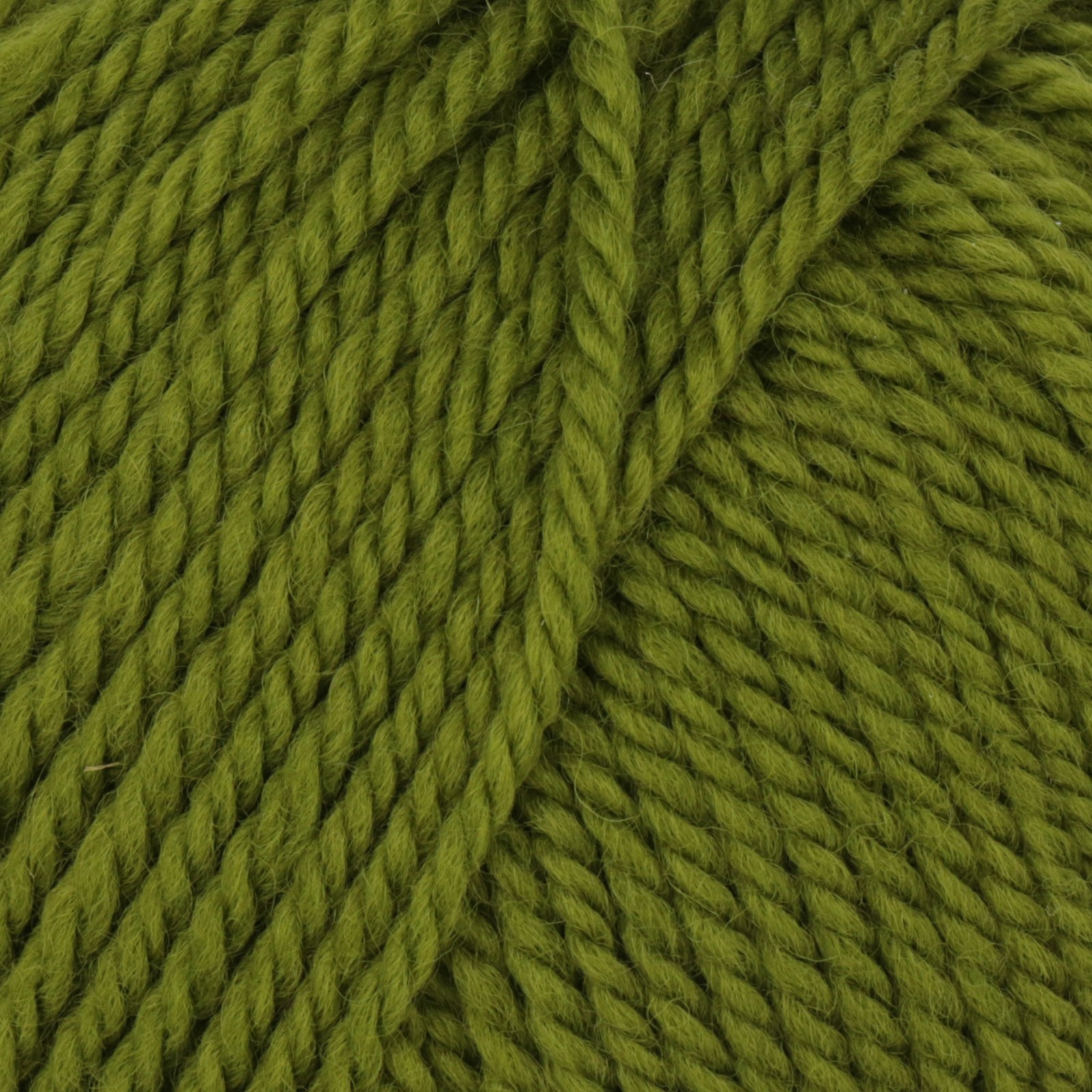 bio lana mondial - cactus (282) - 50gr (100mt) | 1st