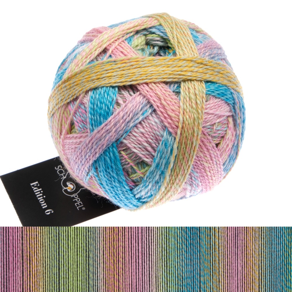schoppel edition 6 - hospitality gift (2513) - 50gr (300mt) | 1st