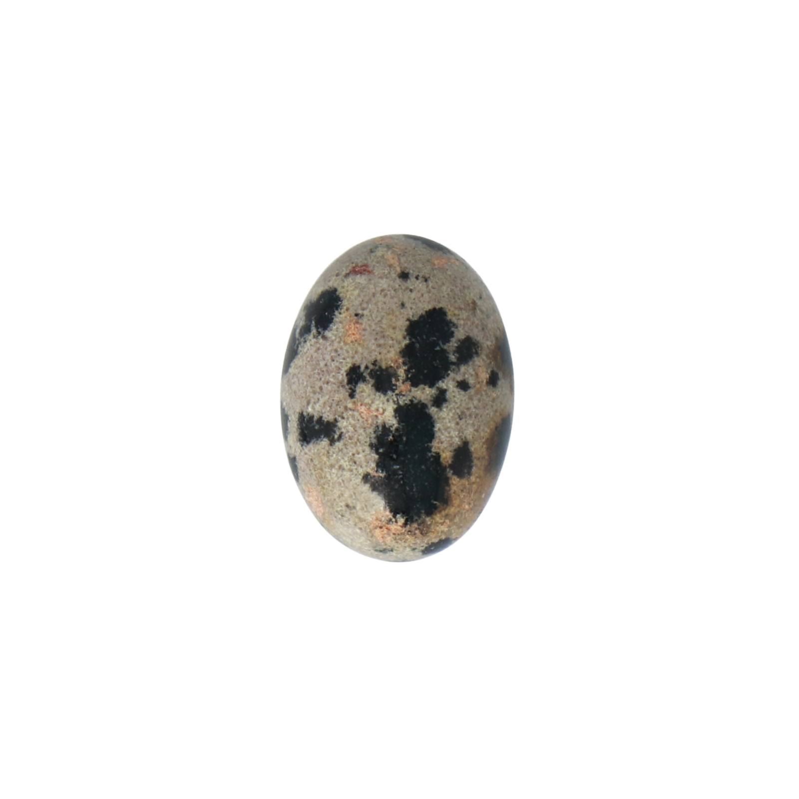 dalmatian jasper cabochon smooth oval 14x10mm | 1pc