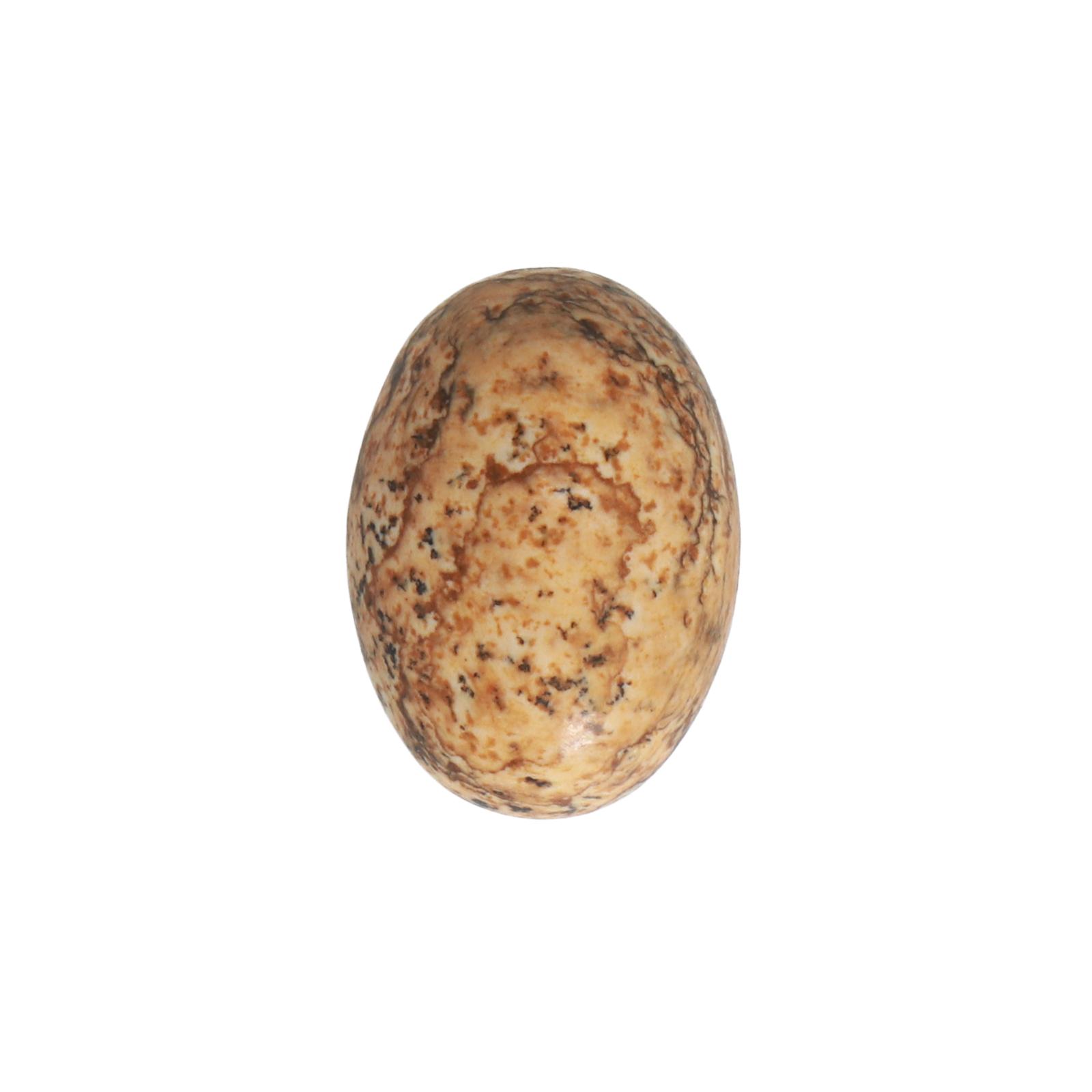 picture jasper cabochon smooth oval 18x13mm | 1pc